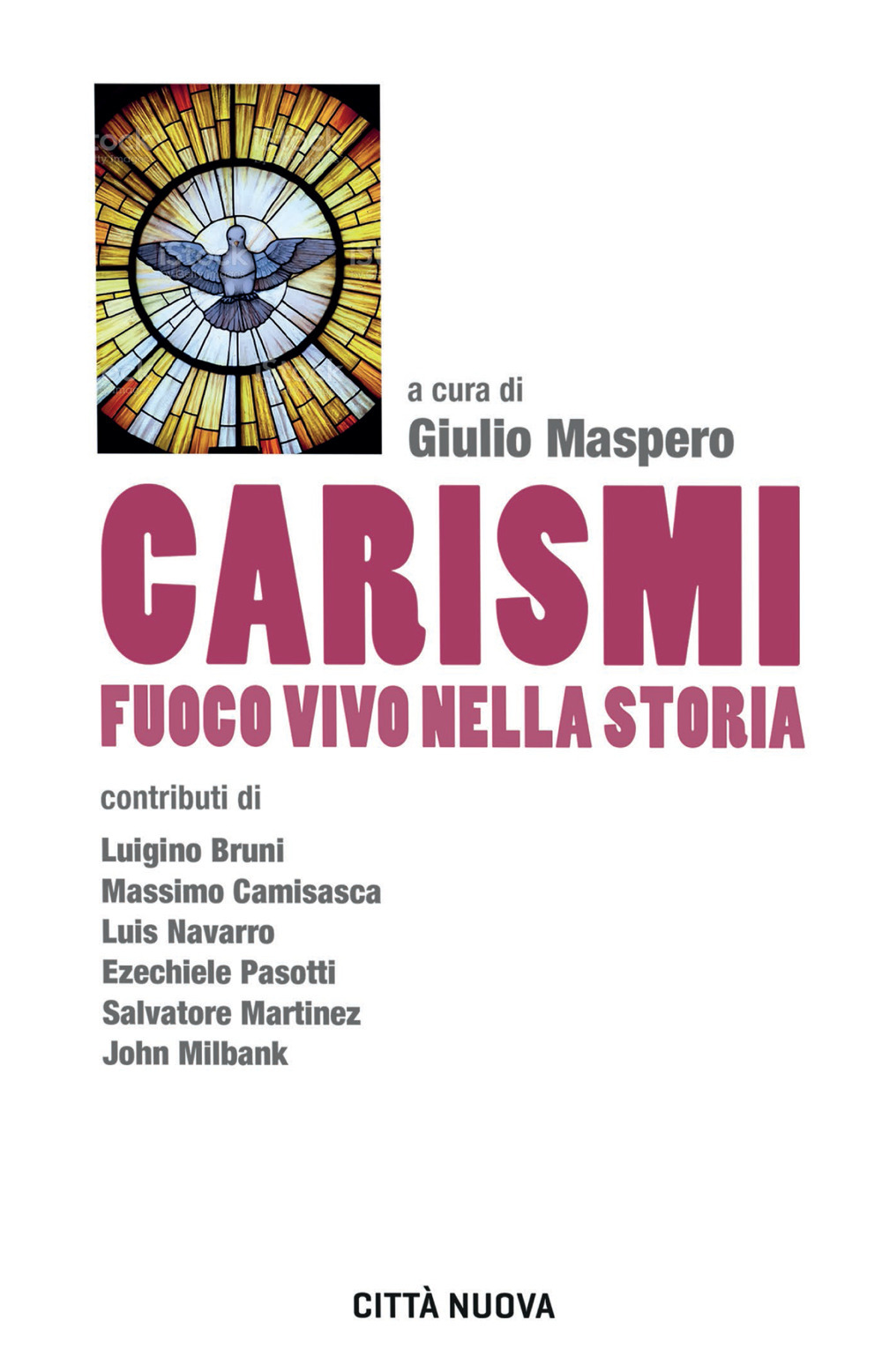 Carismi fuoco vivo nella storia - Libro - Città Nuova