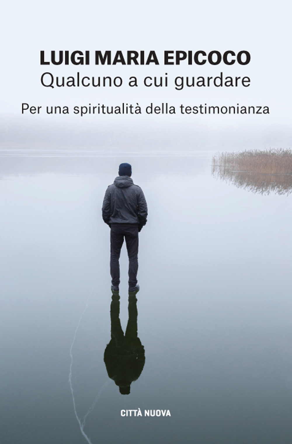 Qualcuno a cui guardare. Per una spiritualità della testimonianza