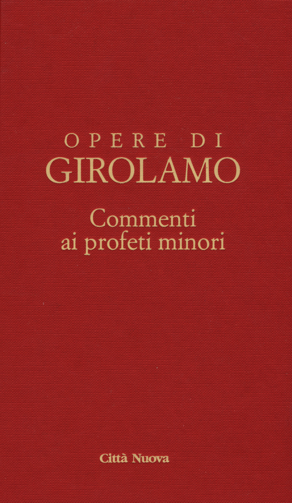 Commento ai profeti minori. Sofonia, Aggeo, Abacuc e Giona. Testo latino a fronte