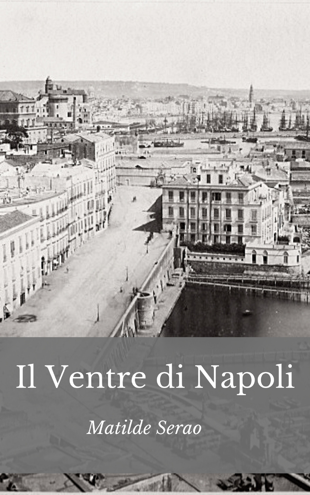 Il ventre di Napoli. Nuova ediz.