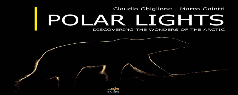 Polar lights. Discovering the wonders of the Arctic. Ediz. illustrata