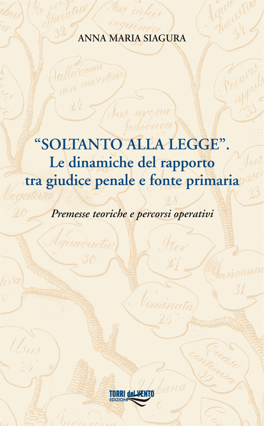 «Soltanto alla legge». Le dinamiche del rapporto tra giudice penale e fonte primaria. Premesse teoriche e percorsi operativi