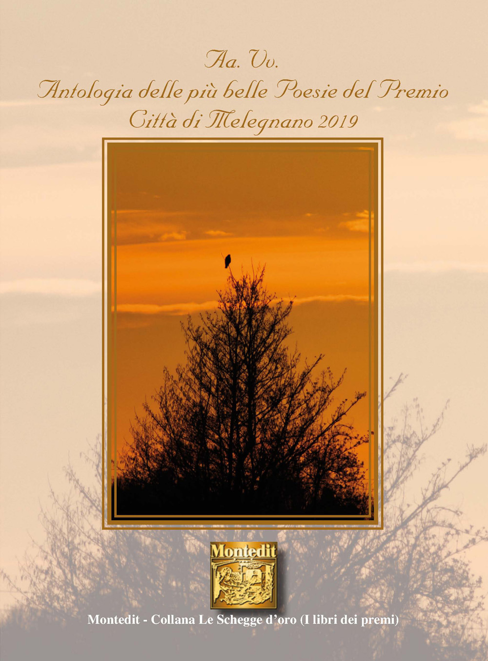 Antologia delle più belle poesie del premio Città di Melegnano 2019 - Libro - Montedit
