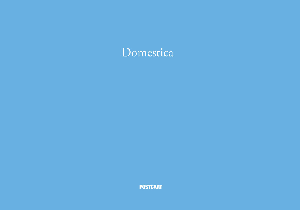 Domestica. Ediz, italiana e inglese. Ediz. illustrata