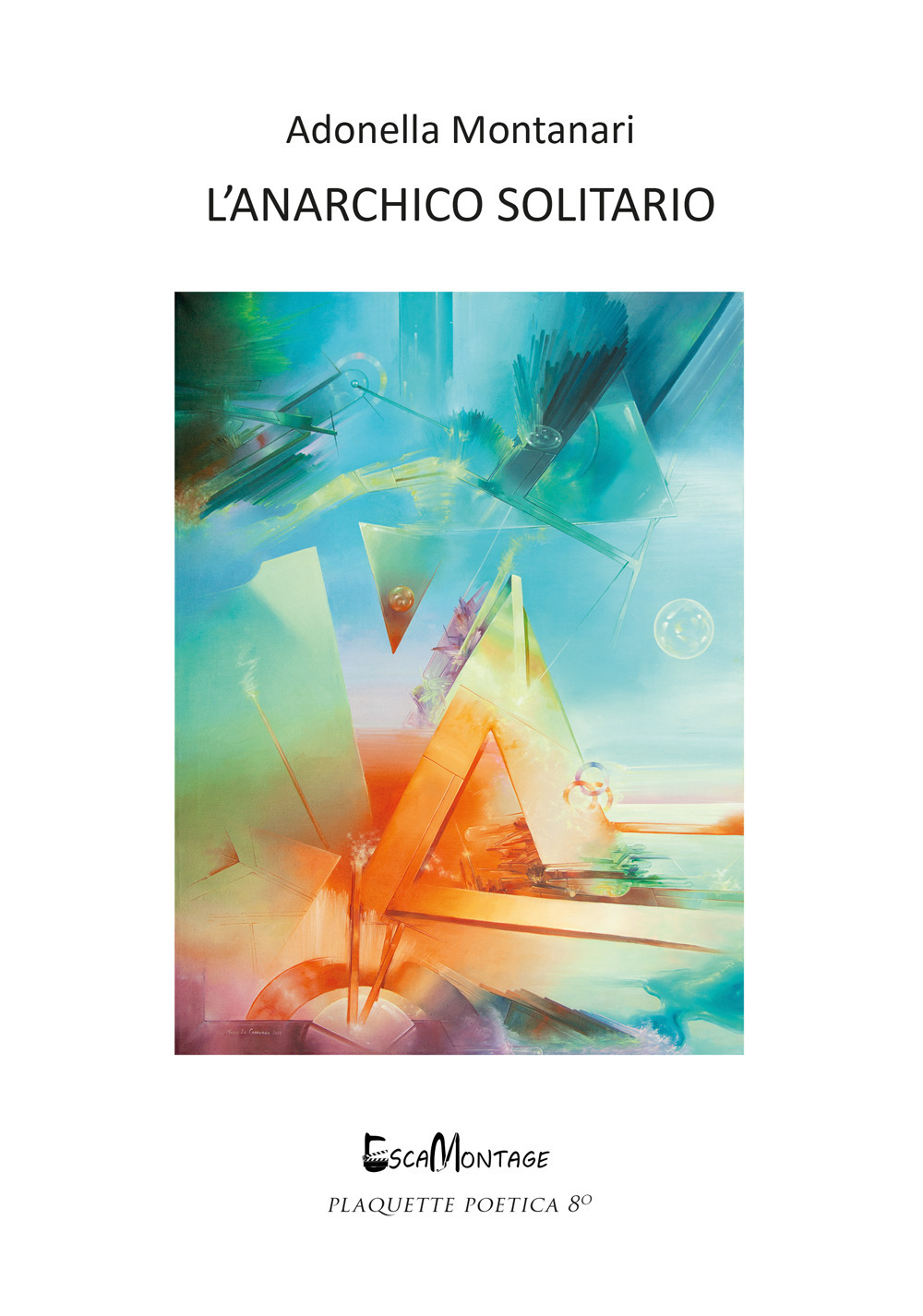 L'anarchico solitario. Nuova ediz.