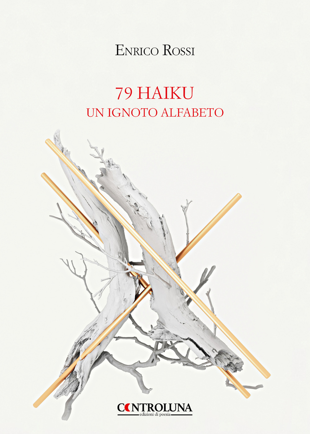 79 haiku. Un ignoto alfabeto