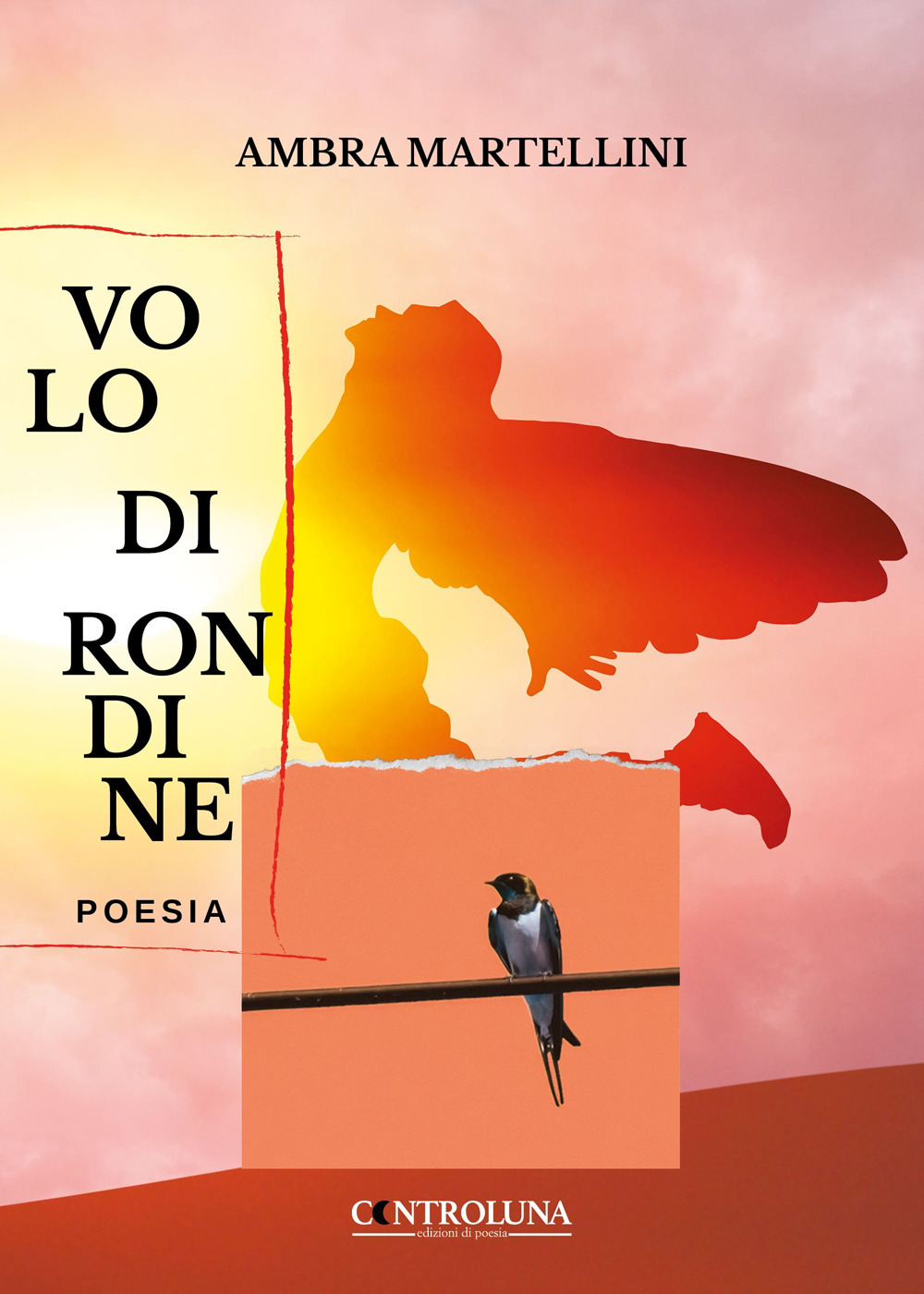 Volo di rondine - Ambra Martellini - Libro - Controluna