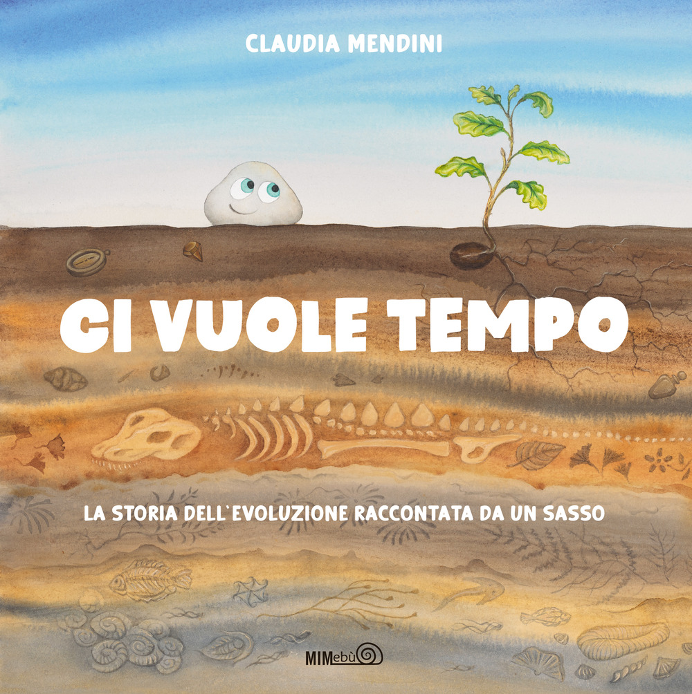 Ci vuole tempo. La storia dell'evoluzione raccontata da un sasso. Ediz. a colori