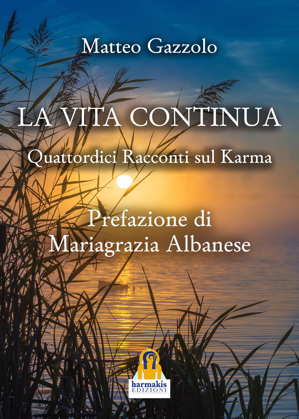 La vita continua. Quattordici racconti sul karma