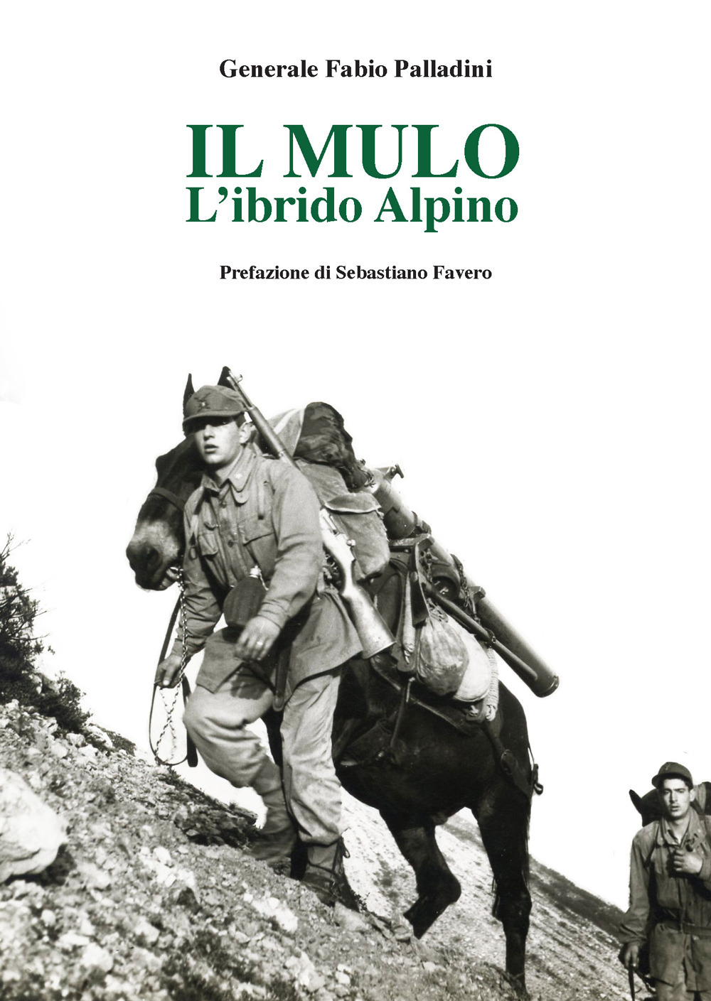 Il mulo. L'ibrido alpino