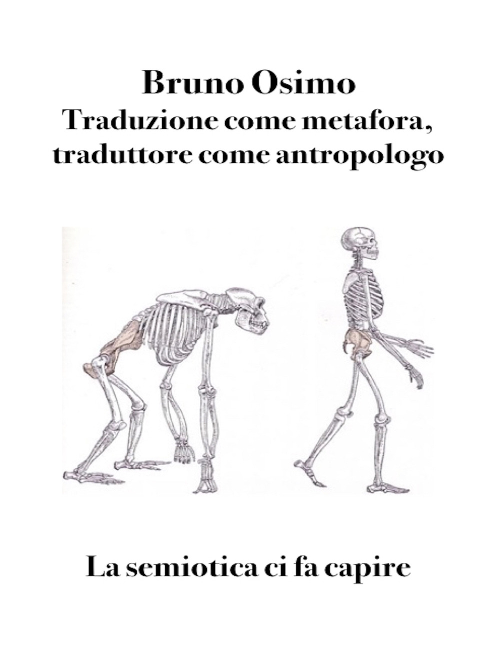 Traduzione come metafora, traduttore come antropologo. La semiotica ci fa capire