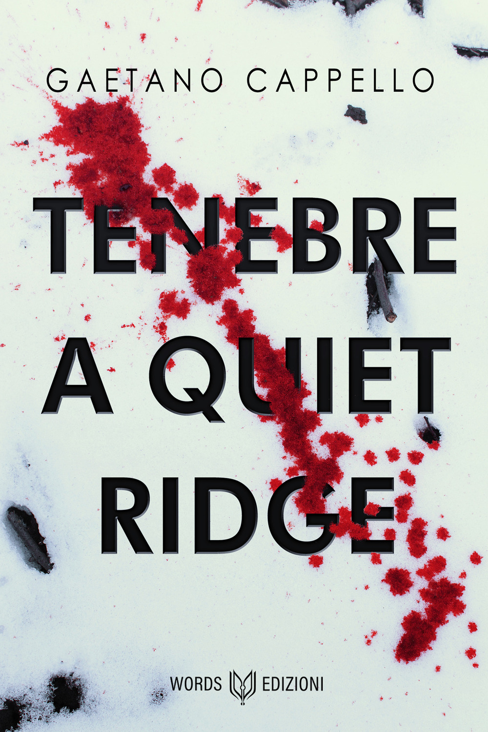 Tenebre a Quiet Ridge - Gaetano Cappello - Libro - Words Edizioni