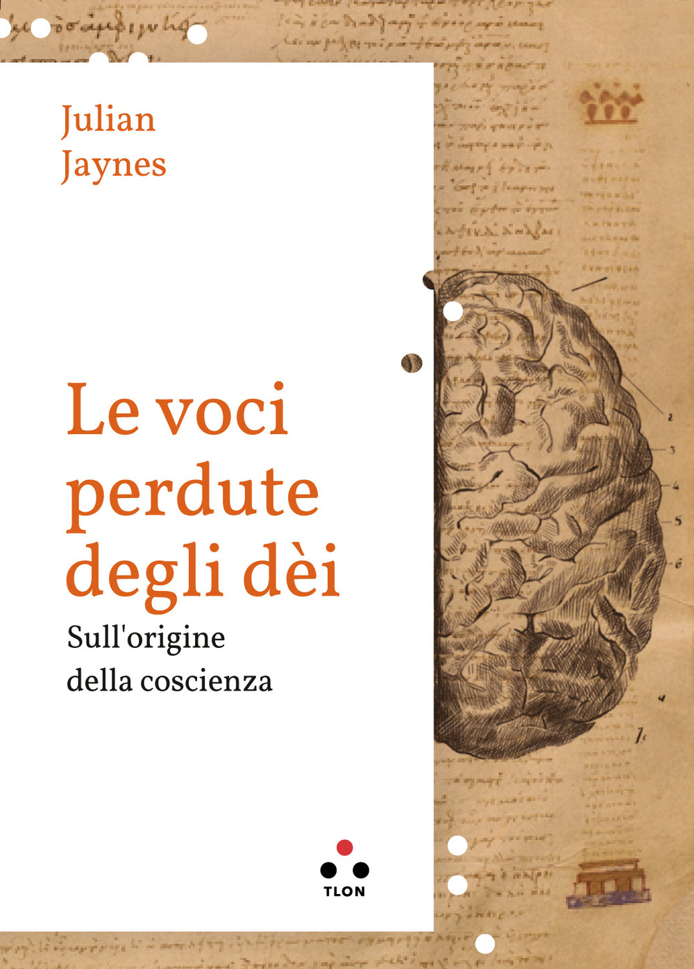 Le voci perdute degli dèi. Sulle origini della coscienza