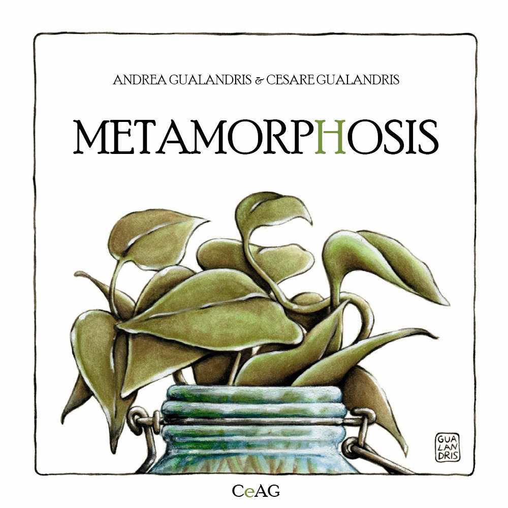 Metamorphosis