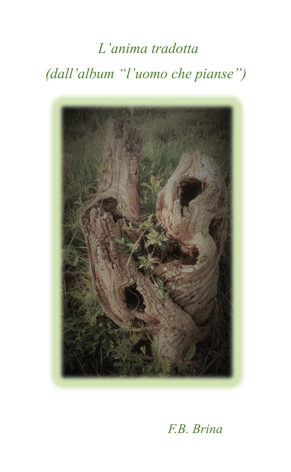 L'anima tradotta - F. B. Brina - Libro - Youcanprint
