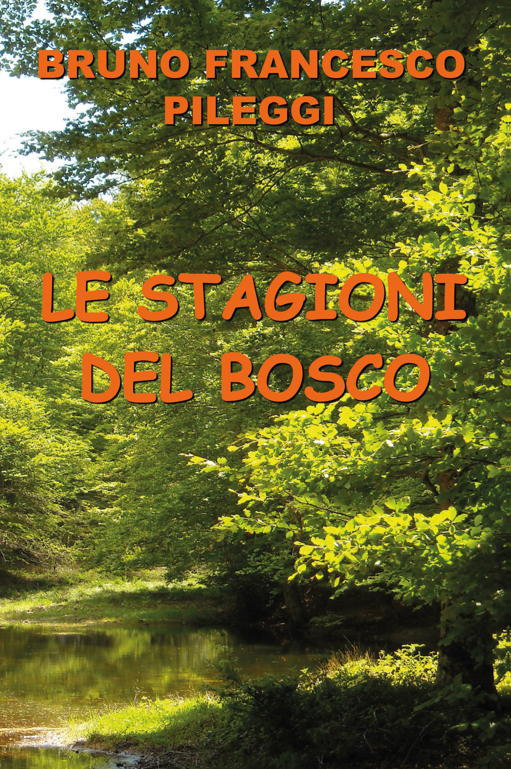 Le stagioni del bosco - Bruno Francesco Pileggi - Libro - Youcanprint