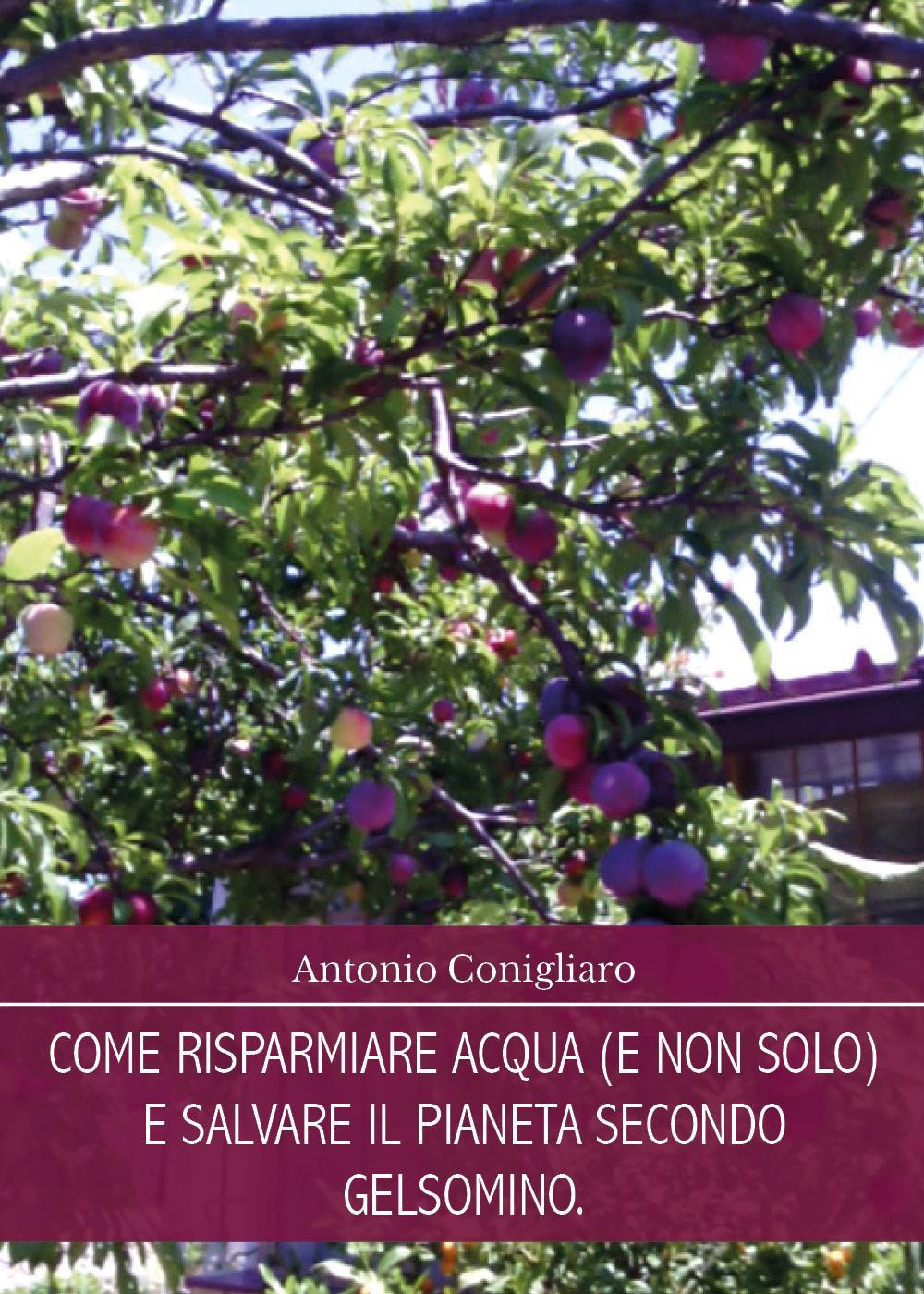 Come risparmiare acqua (e non solo) e salvare il pianeta secondo Gelsomino - Antonio Conigliaro - Libro - Youcanprint