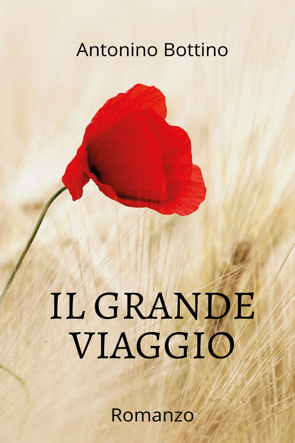 Il grande viaggio - Antonino Bottino - Libro - Youcanprint