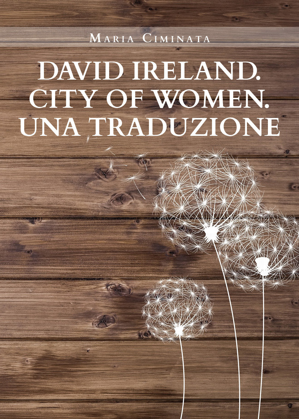 David Ireland. City of women. Una traduzione - Maria Ciminata - Libro - Youcanprint