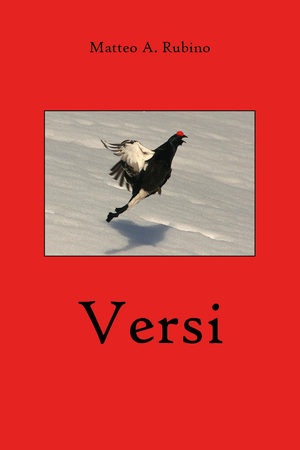 Versi - Matteo A. Rubino - Libro - Youcanprint