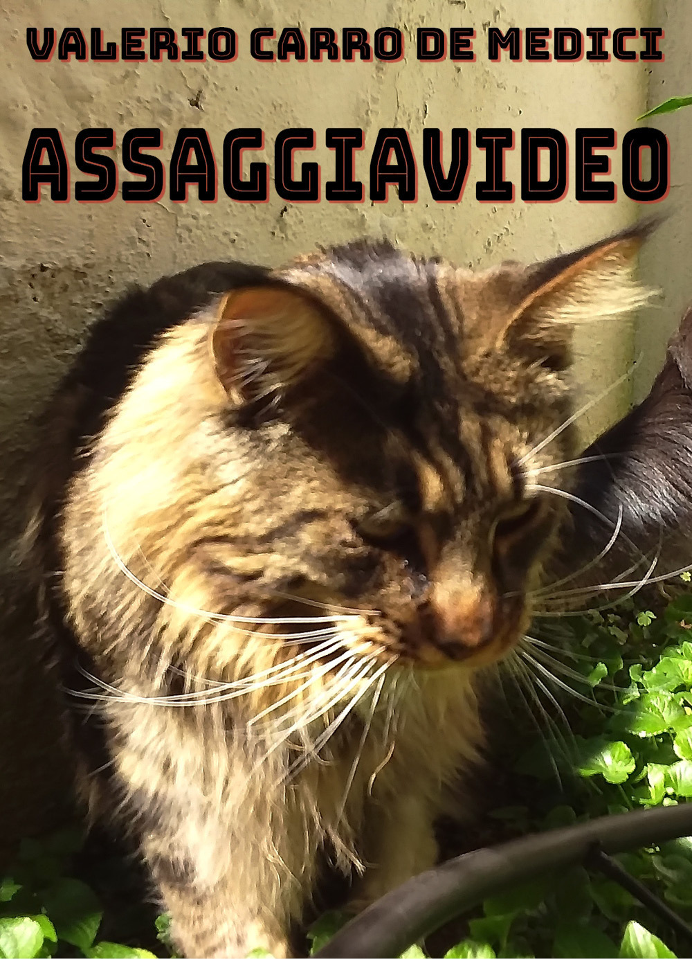 Assaggiavideo - Valerio Carro De Medici - Libro - Youcanprint