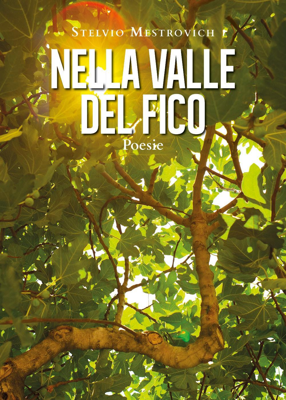 Nella Valle del Fico - Stelvio Mestrovich - Libro - Youcanprint