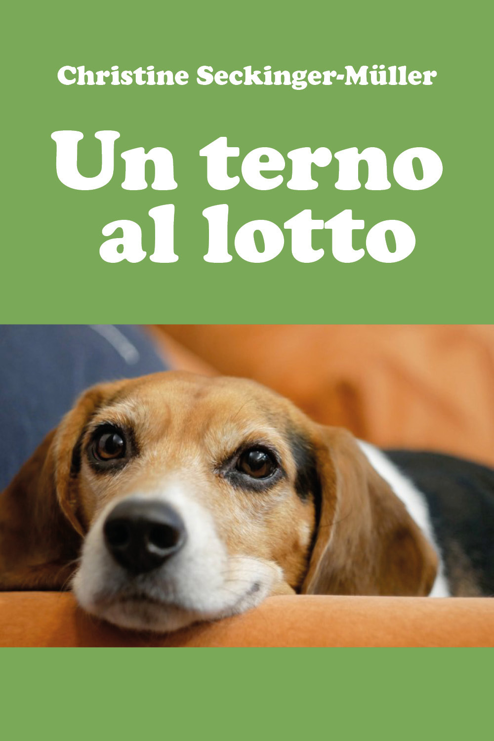 Un terno al lotto - Christine Seckinger-Müller - Libro - Youcanprint