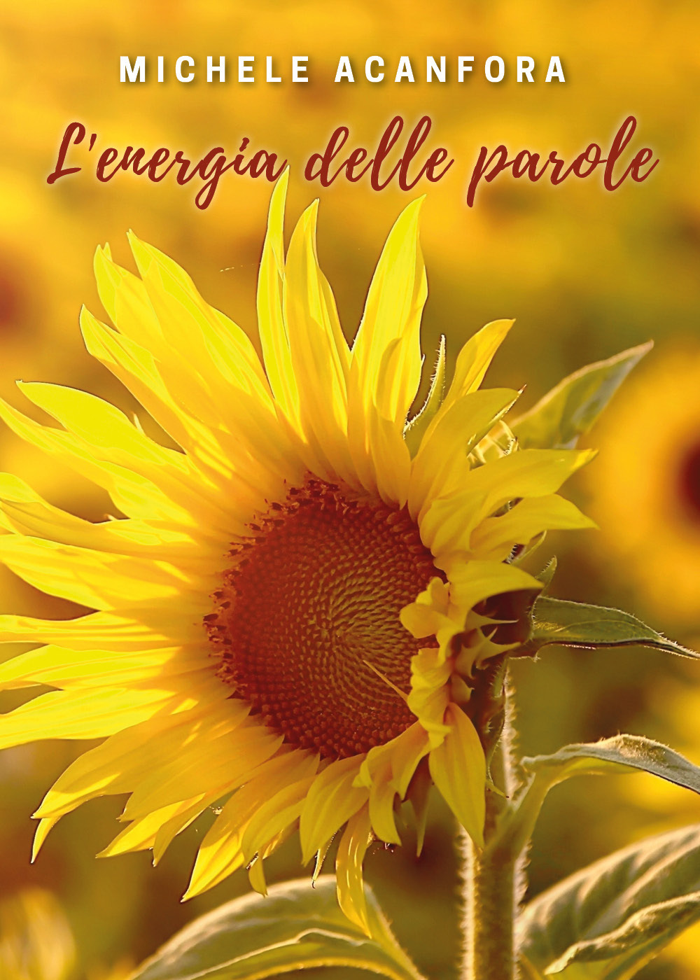 L'energia delle parole - Michele Acanfora - Libro - Youcanprint