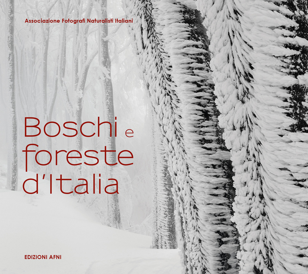 Boschi e foreste d'Italia - Libro - Associazione Fotografi Naturalisti Italiani A.F.N.I.