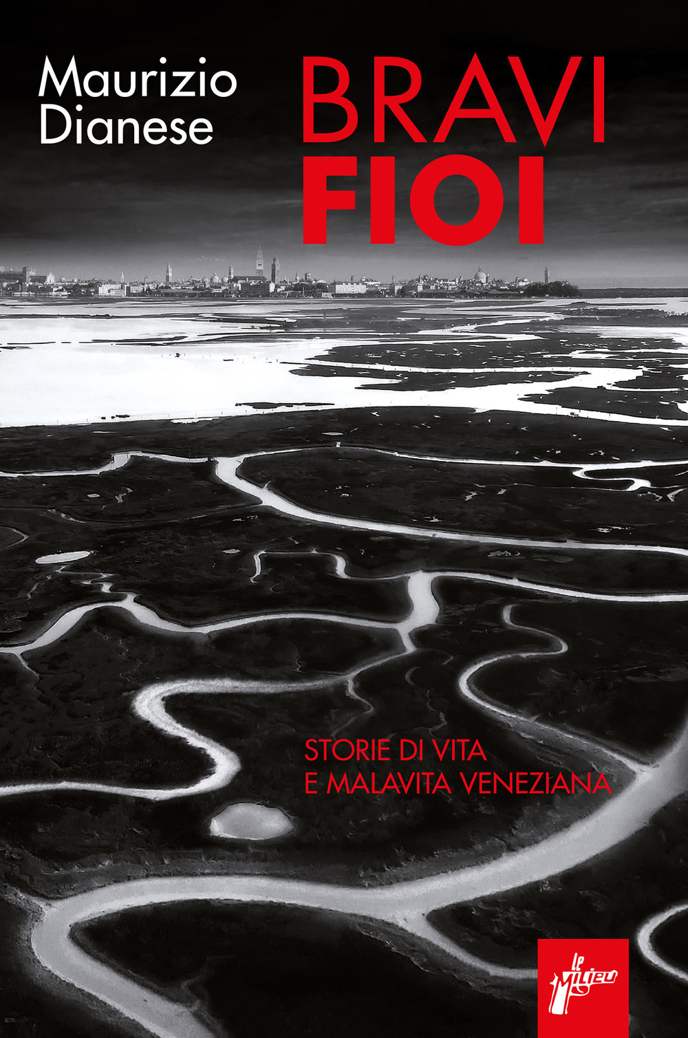 Bravi fioi. Storie di vita e malavita veneziana