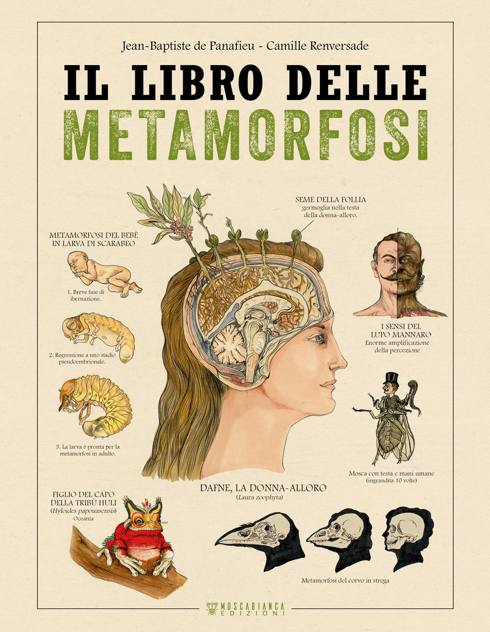 Il libro delle metamorfosi