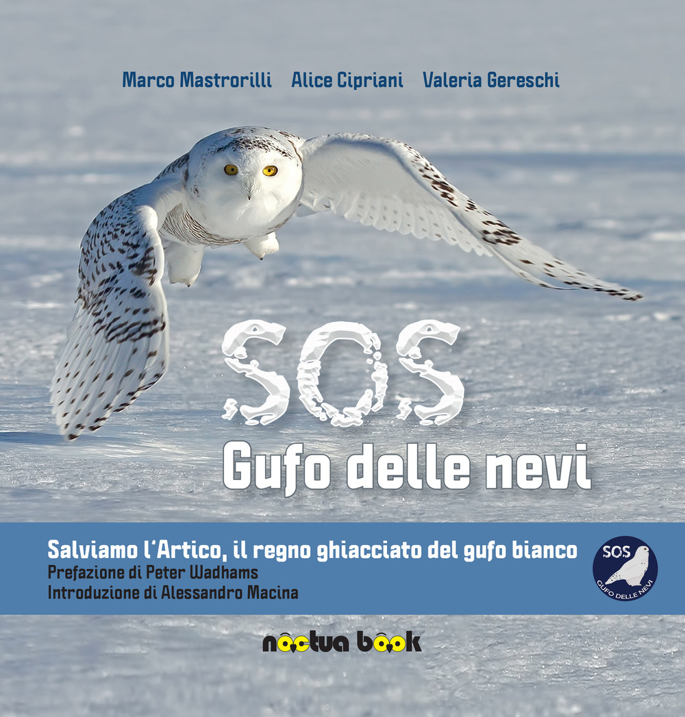 SOS gufo delle nevi. Salviamo l'artico, il regno ghiacciato del gufo bianco