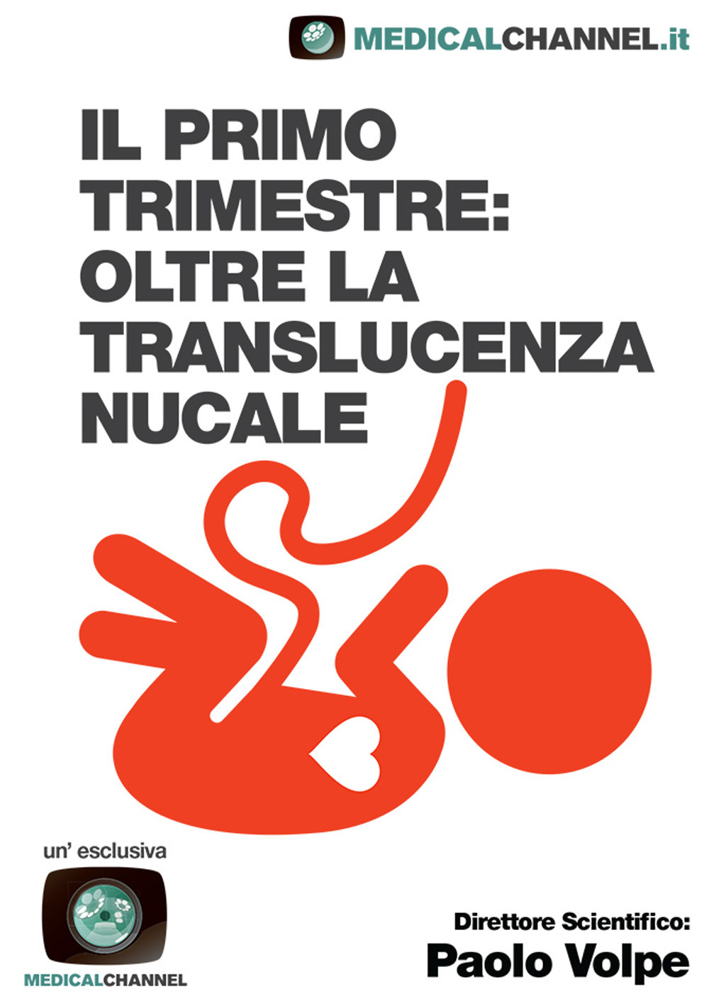 Il primo trimestre: oltre la translucenza nucale