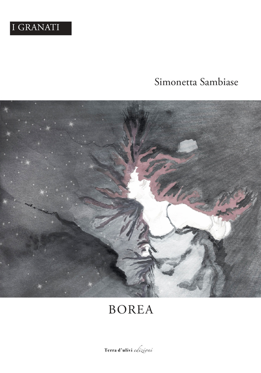 Borea - Simonetta Sambiase - Libro - Terra d'Ulivi