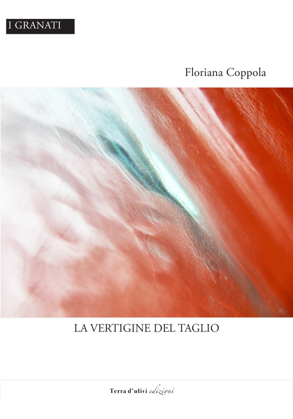La vertigine del taglio - Floriana Coppola - Libro - Terra d'Ulivi