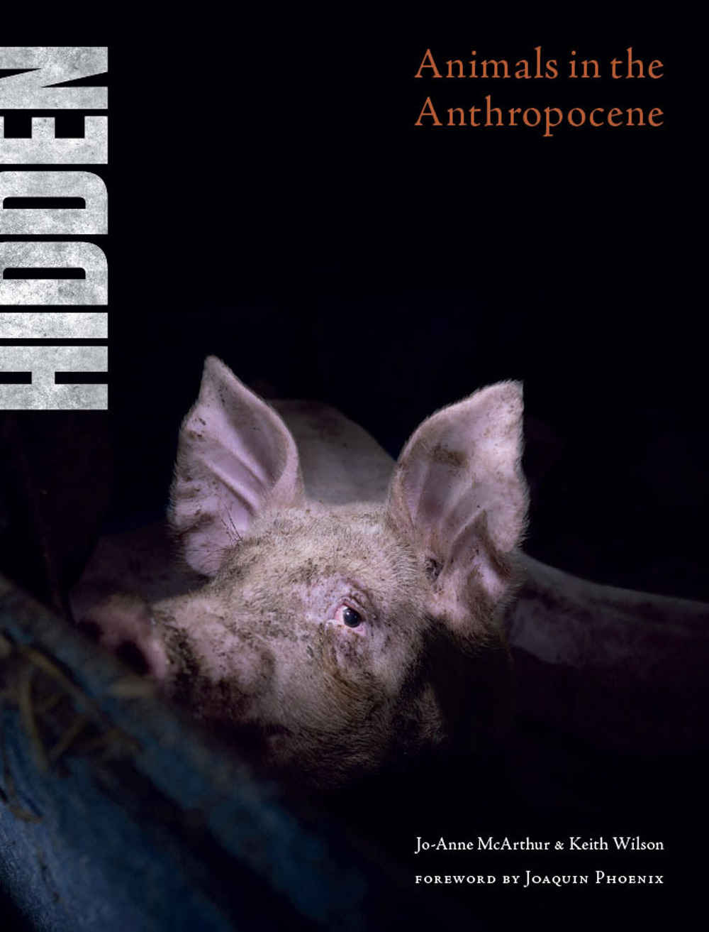 Hidden. Animals in the Anthropocene. Ediz. illustrata