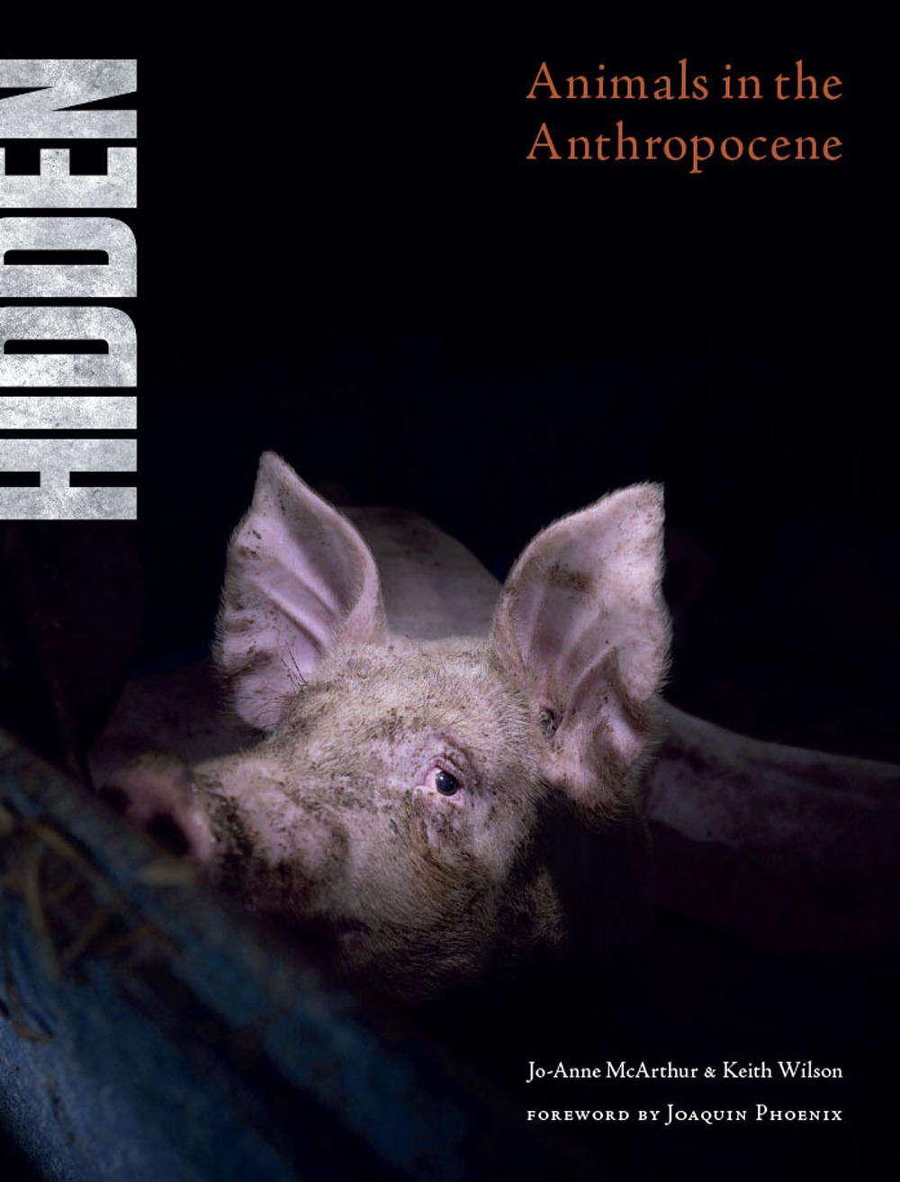Hidden. Animals in the Anthropocene. Ediz. a colori