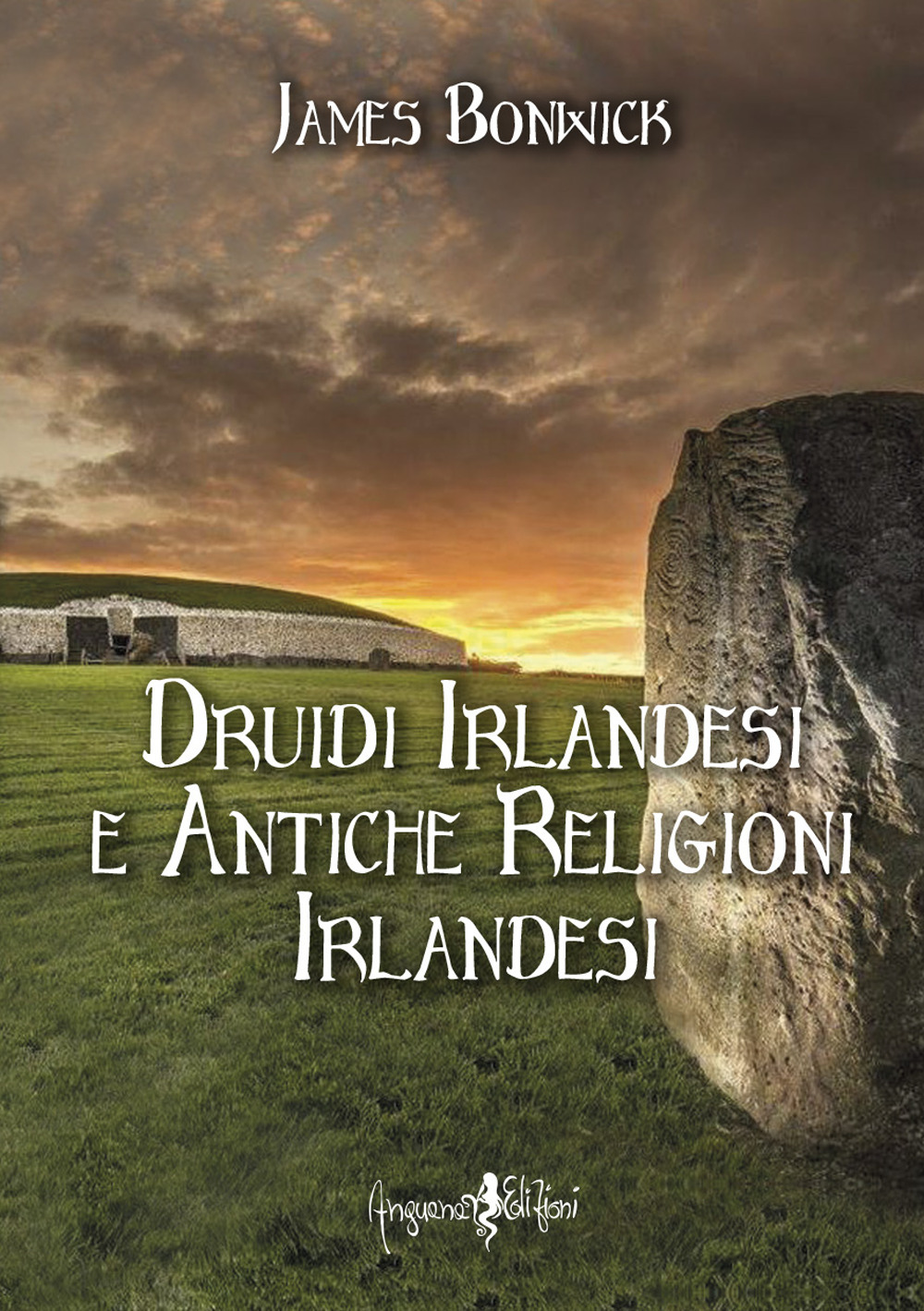 Druidi irlandesi e antiche religioni irlandesi