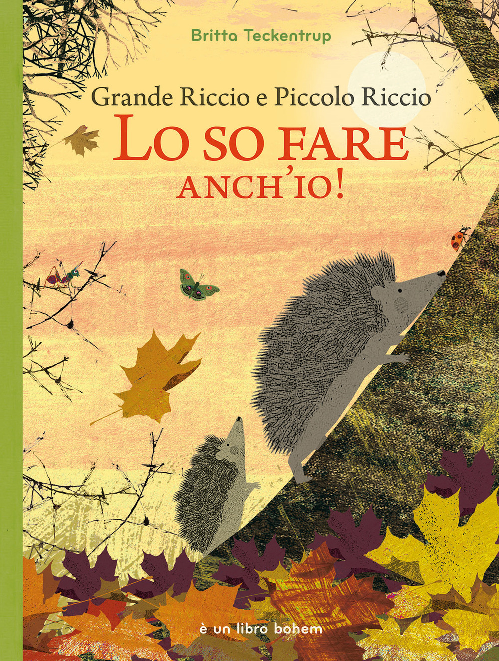 Grande riccio e piccolo riccio. Lo so fare anch'io! Ediz. illustrata