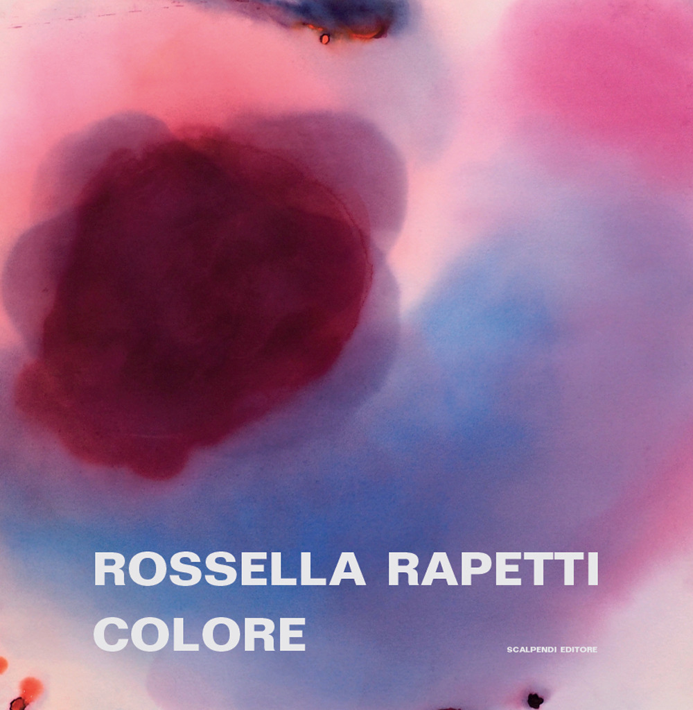 Rossella Rapetti. Colore. Catalogo della mostra (Segrate, 5 dicembre 2019-9 gennaio 2020). Ediz. illustrata