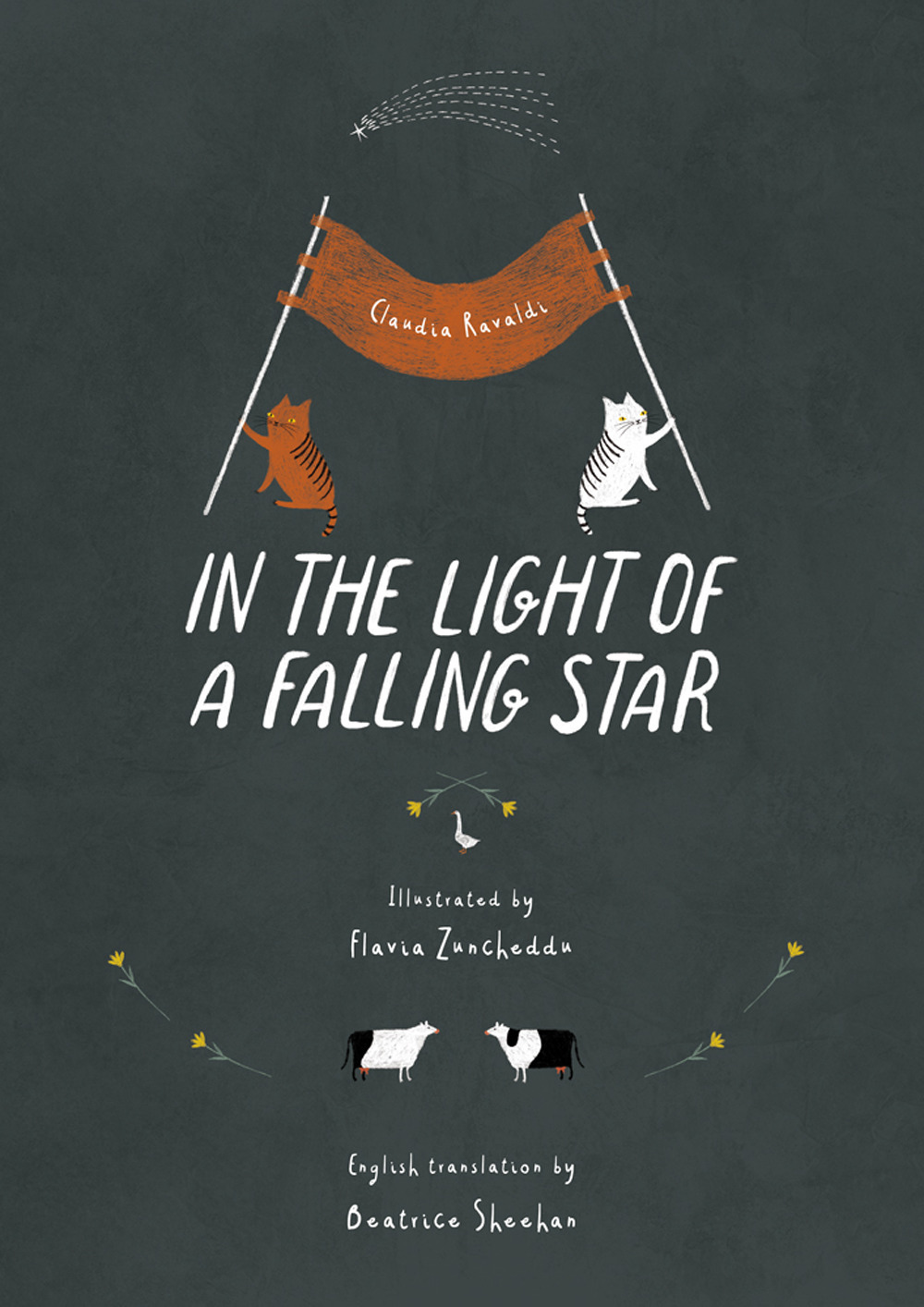 In the light of a falling star. Ediz. illustrata
