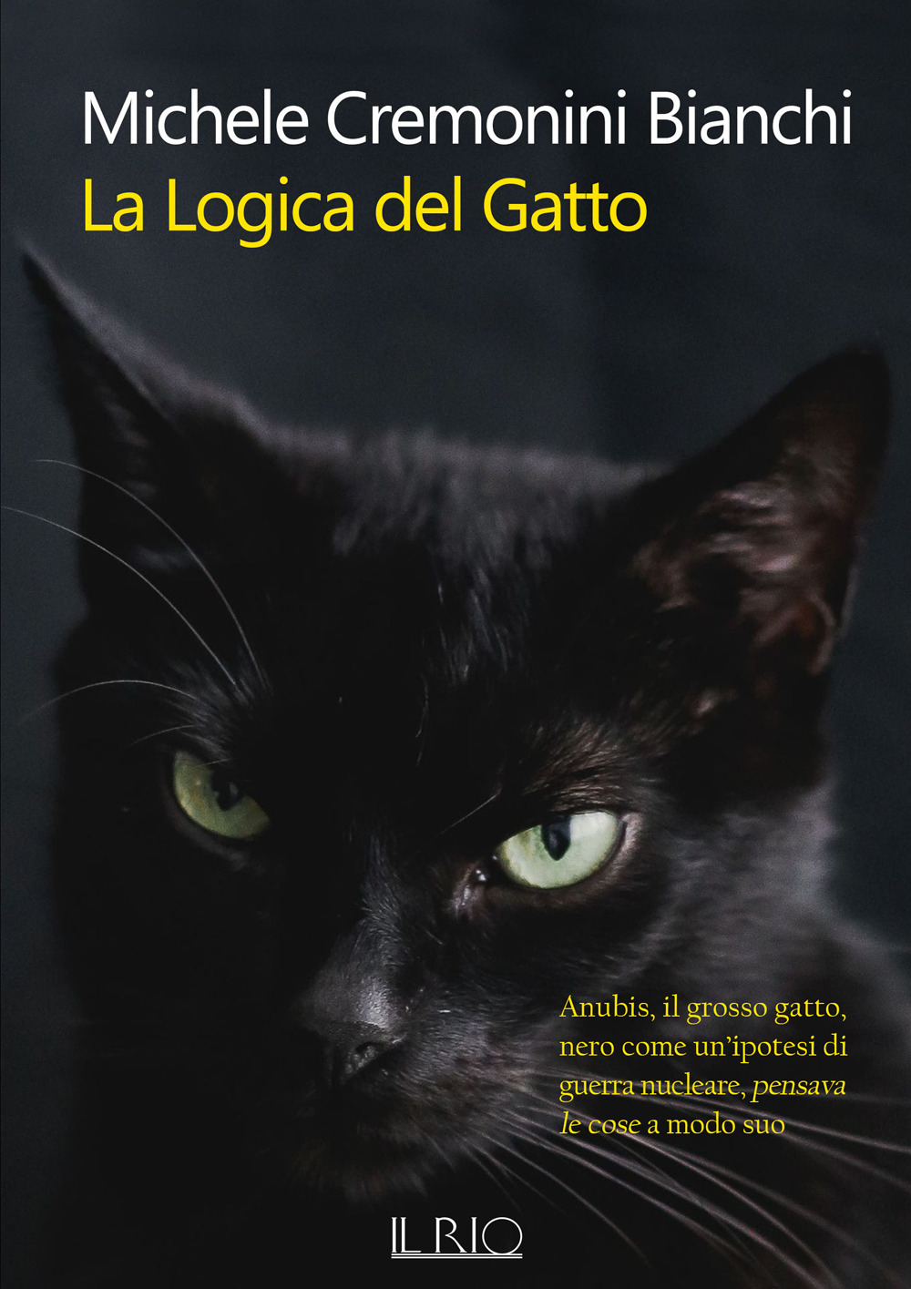 La logica del gatto