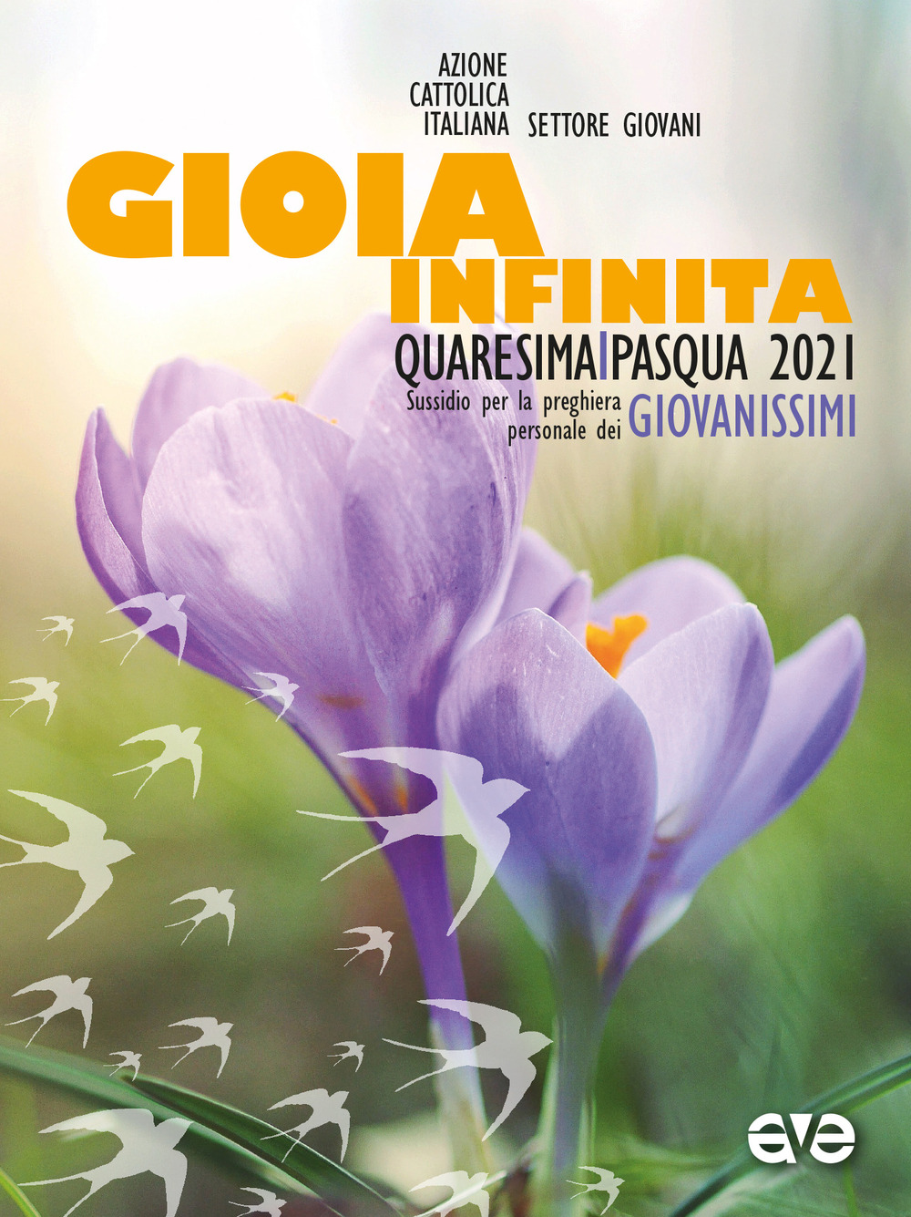 Gioia infinita. Quaresima e Pasqua 2021. Sussidio per la preghiera personale dei giovanissimi - Libro - AVE