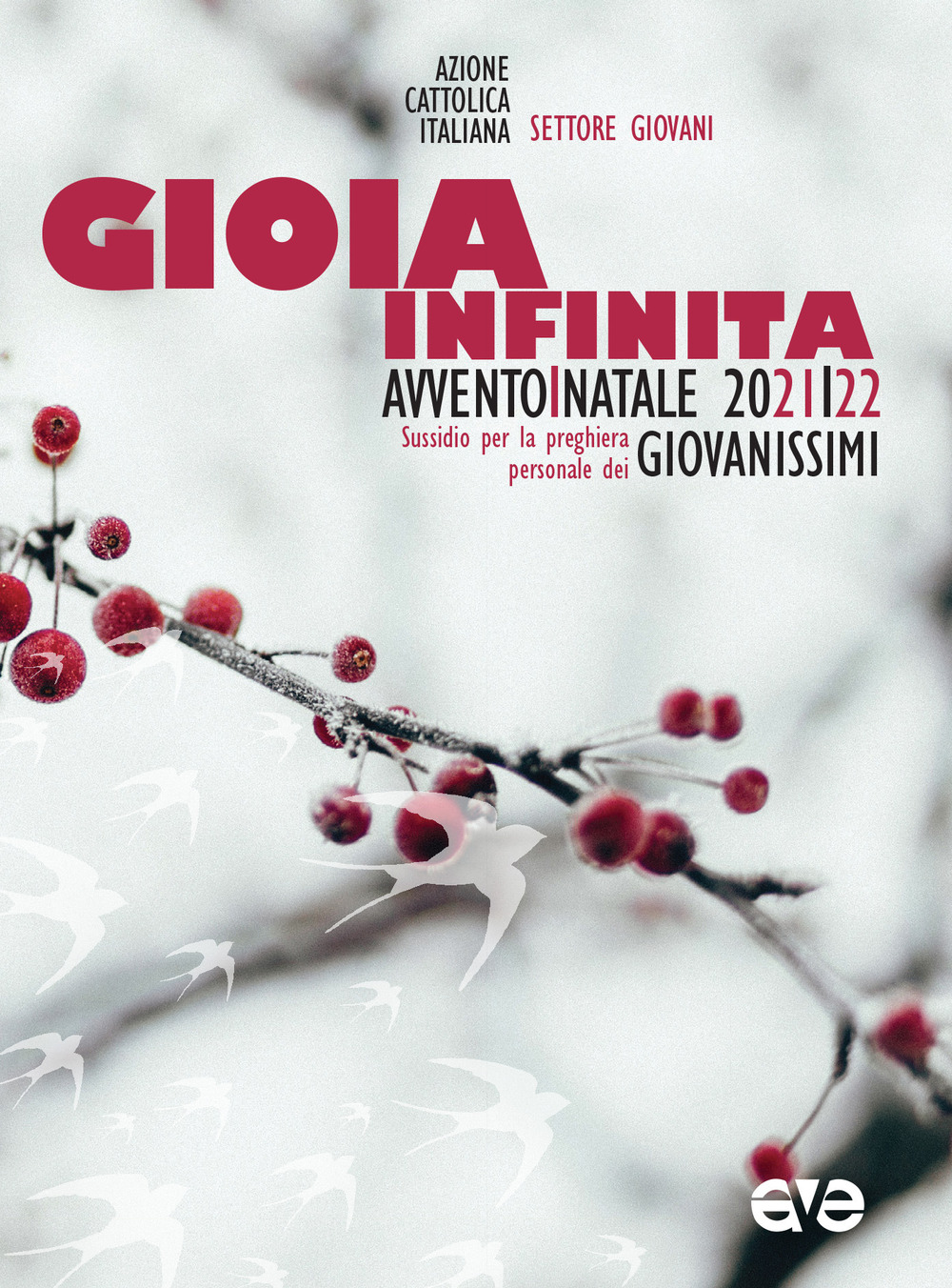 Gioia infinita. Avvento e Natale 2021 Giovanissimi. Sussidi per la preghiera personale - Azione Cattolica Italiana - Settore giovani - Libro - AVE