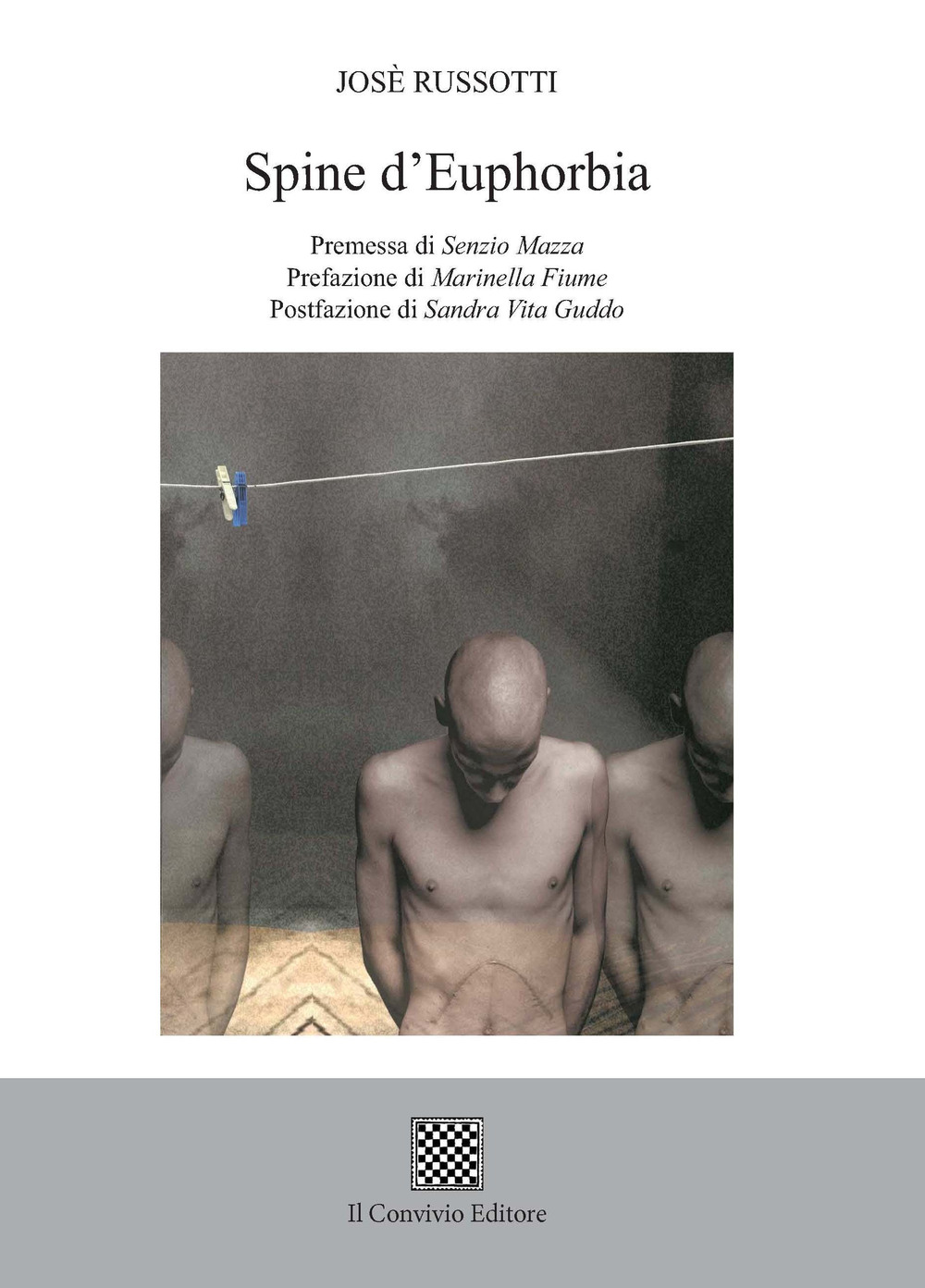 Spine d'euphorbia