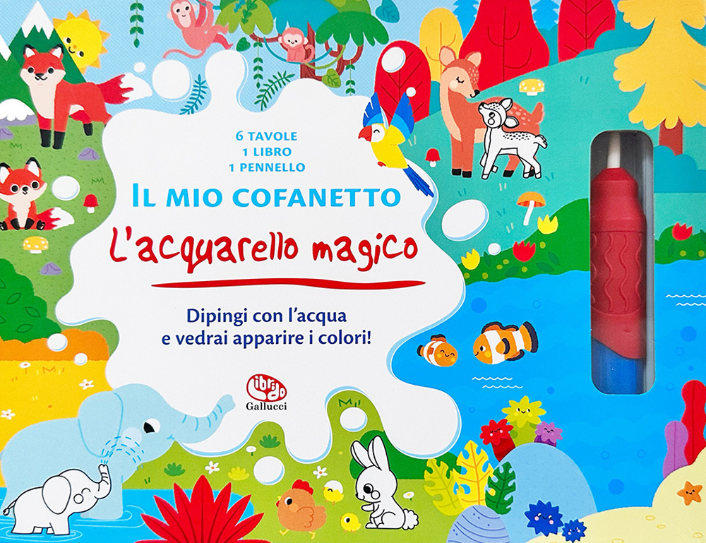 Il mio cofanetto. L'acquarello magico - Clémentine Derodit - Libro - Librido Gallucci