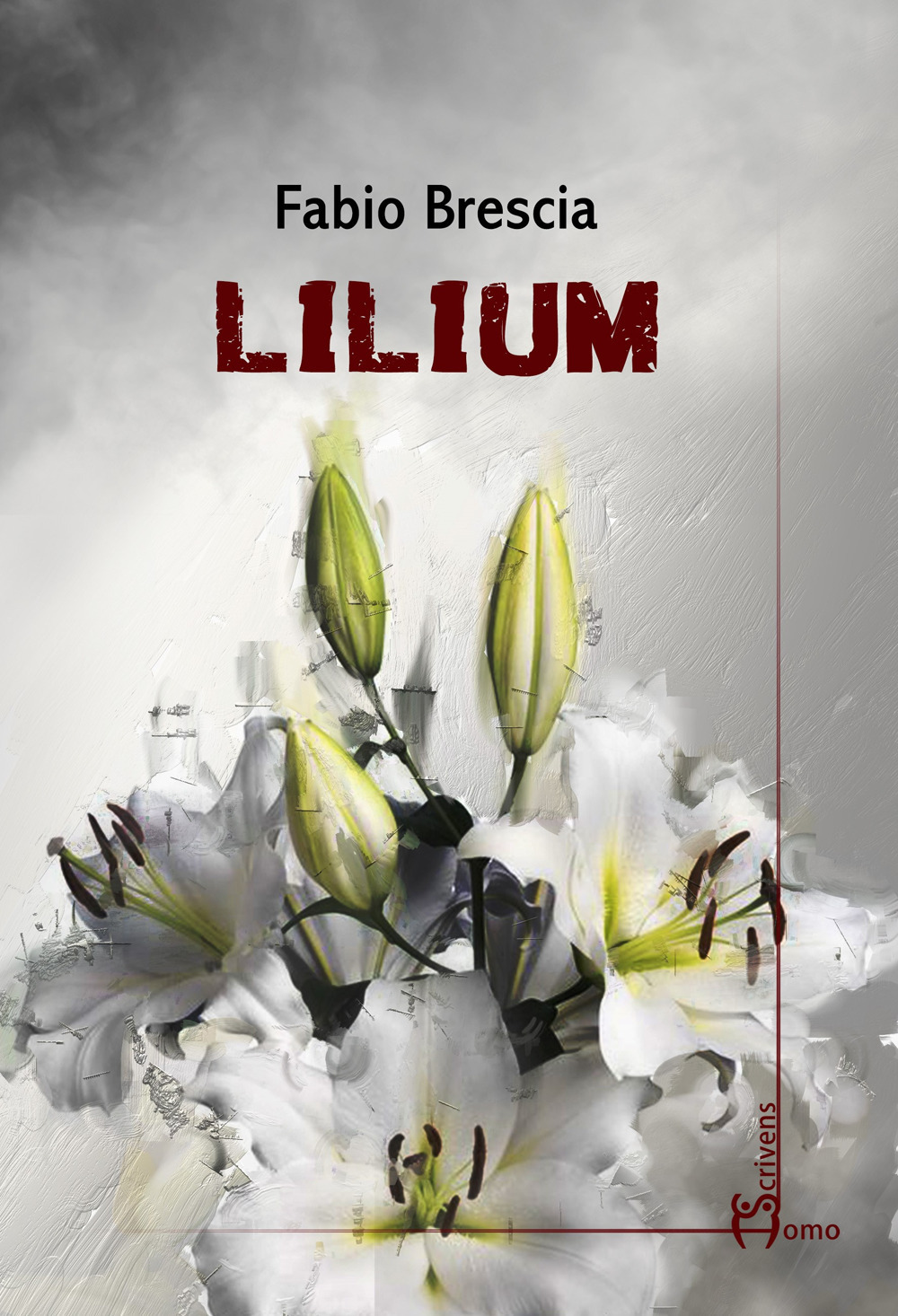 Lilium