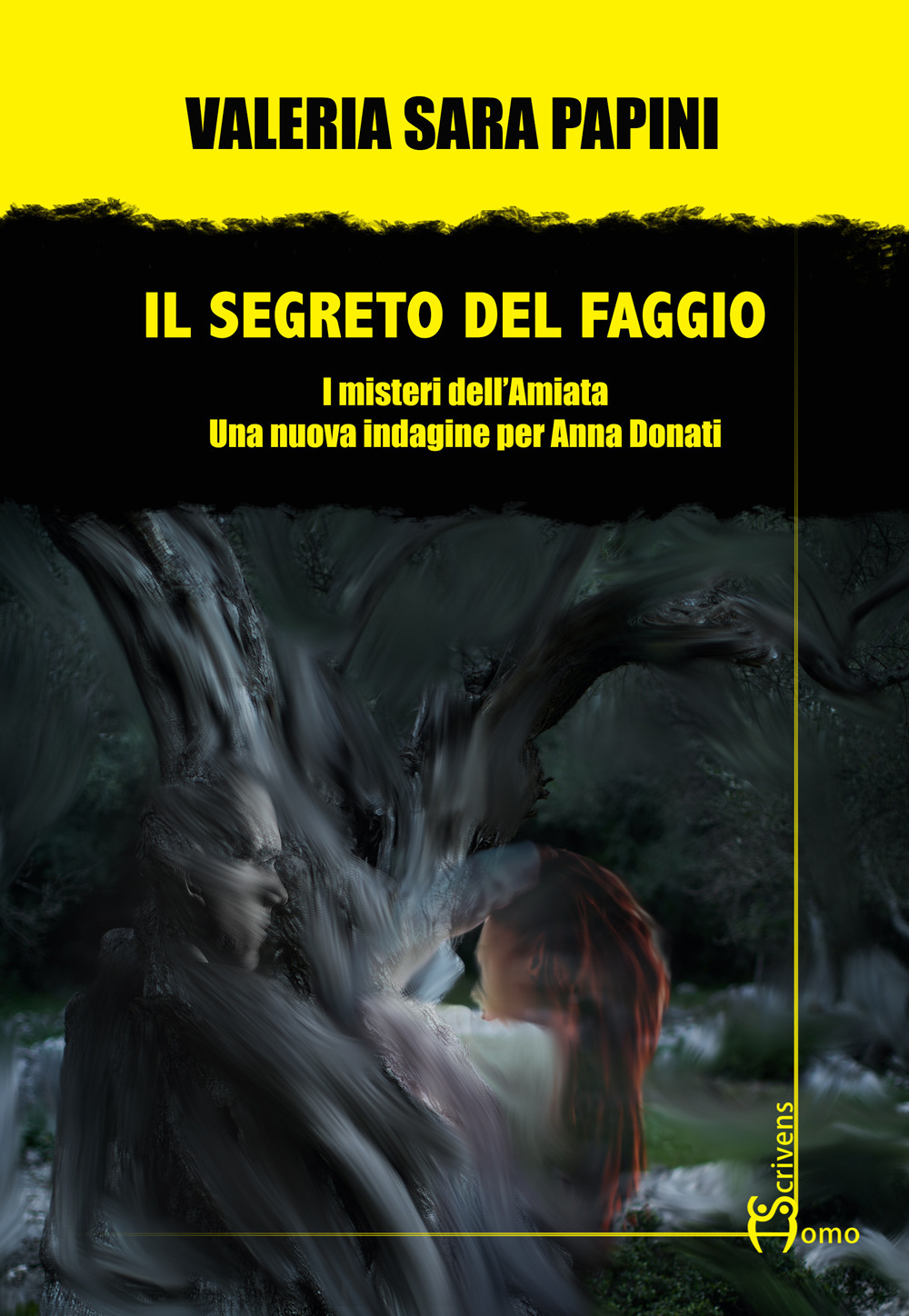 Il segreto del faggio. I misteri dell'Amiata. Una nuova indagine per Anna Donati