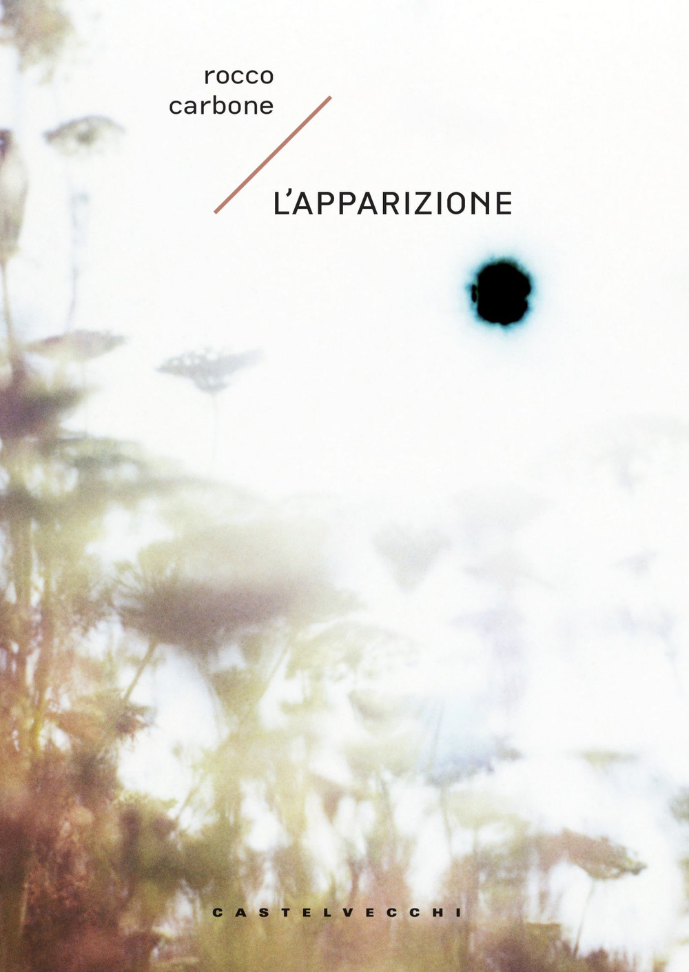 L'apparizione