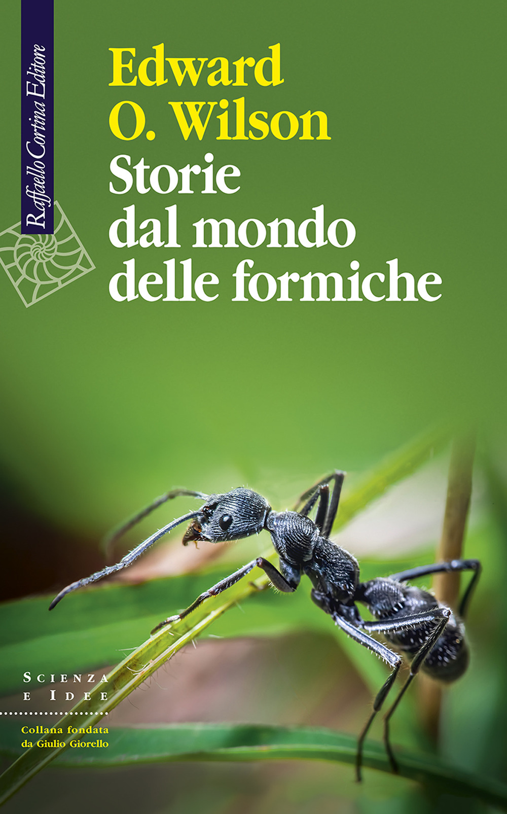 Storie dal mondo delle formiche